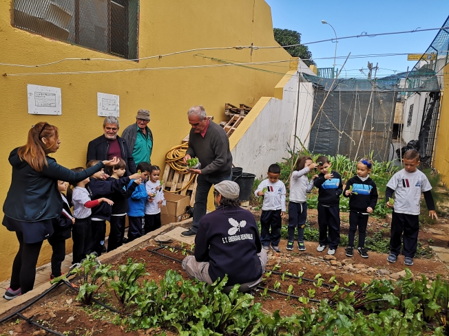 Escolares del CEIP Tinguaro aprenden en el huerto escolar la importancia de la agricultura y comer sano